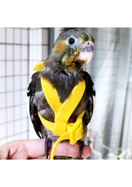 No.1 Tarzı S Beden 1 Parça Papağan Kuş Koşum Tasma Seti Ayarlanabilir Papağanlar Açık Uçan Halat Anti-Bite Eğitim Koşum Papağan Küçük Kuş (Yurt Dışından)