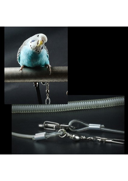 No.5 Tarzı 6 M Papağan Kuş Koşum Tasma Anti-Bite Açık Uçan Eğitim Halat Parakeet Kakadu Papağanı Conure Için Pet Malzemeleri (Yurt Dışından) fırsatları