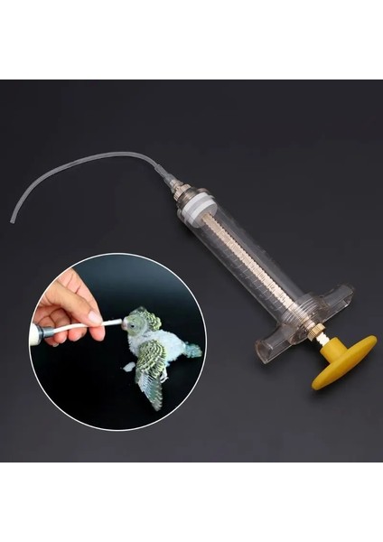 10ML Tarzı Papağan Civciv Besleyici Bakır Kafa Şırınga Hortumu Kuşlar Besleme Enjektör Malzemeleri (Yurt Dışından) indirimleri