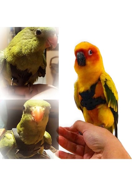 Sarı Stil S Beden Papağan Kuş Koşum Tasma Açık Uçan Çekiş Kayışları Bant Ayarlanabilir Isırma Önleyici Eğitim Halatı Papağan Çekme Halatı Kuş Kaynağı (Yurt Dışından) fırsatları