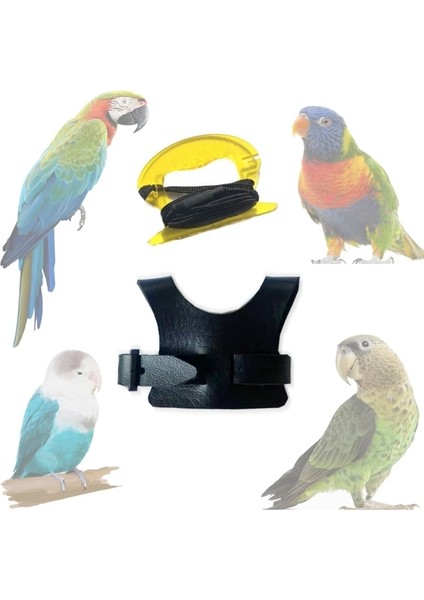 Sarı Stil S Beden Papağan Kuş Koşum Tasma Açık Uçan Çekiş Kayışları Bant Ayarlanabilir Isırma Önleyici Eğitim Halatı Papağan Çekme Halatı Kuş Kaynağı (Yurt Dışından) indirimleri