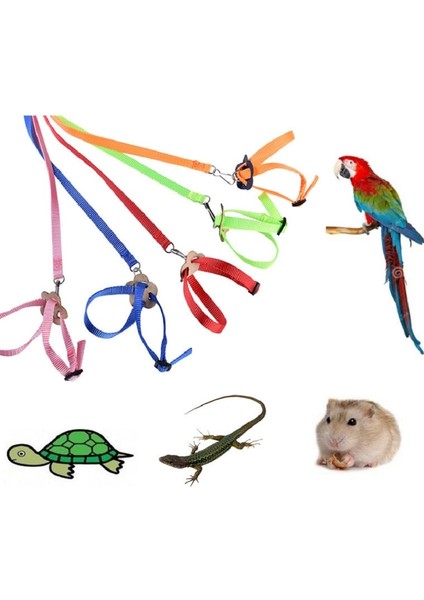 Mavi Stil Pet Kuş Koşum ve Tasma Ayarlanabilir Papağan Kuş Koşum Tasma Pet Anti Bite Eğitim Halatı Yumuşak Taşınabilir Pet Oyuncaklar (Yurt Dışından) fiyatları