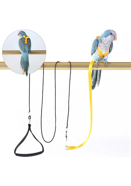 Sarı Stil M Beden Ayarlanabilir Papağan Kuş Tasma Kitleri Ultralight Koşum Anti-Bite Uçan Eğitim Halatı Papağan Papağanı Için Kanatlı Taşınabilir (Yurt Dışından) fiyatları