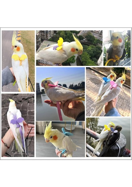 Sarı Stil M Beden Ayarlanabilir Papağan Kuş Tasma Kitleri Ultralight Koşum Anti-Bite Uçan Eğitim Halatı Papağan Papağanı Için Kanatlı Taşınabilir (Yurt Dışından) indirimleri