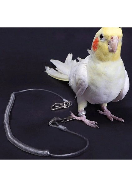 4.5mm Tarzı Alaşım Bacak Halkası Esnek Kuş Zinciri Kemer Anti Bite Plastik Tel Halat Papağan Kuş Açık Uçuş Eğitim Halatı (Yurt Dışından) indirimleri