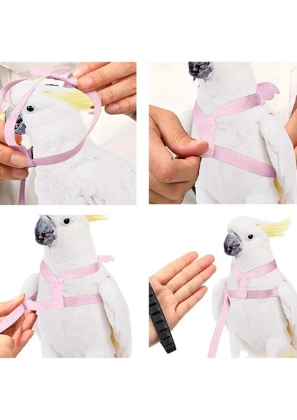 Pembe Tarzı Papağan Koşum ve Tasma Seti Ayarlanabilir Açık Uçan Eğitim Halatı Küçük Orta Kuşlar Için Kanatlı Papağan, Amerika Papağanı, Budgie (Yurt Dışından)