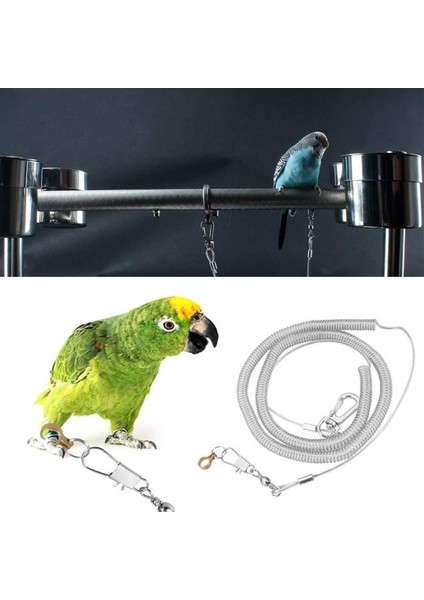 6m Tarzı 3.5mm Bacak Halkalı 6m Esnek Kuş Tasma Ultra-Hafif Papağan Kuş Koşum Anti-Bite Açık Uçan Eğitim Halatı Amerika Papağanı Papağanı Için (Yurt Dışından) fırsatları