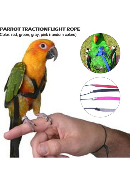 M Rastgele Renk Stili Papağan Koşum Tasma Uçan Anti-Bite Çekiş Halat Kuş Eğitim Açık Psittacus Erithacus Scarlet Amerika Papağanı Kuşları Için Taşıma (Yurt Dışından) modelleri