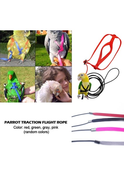 M Rastgele Renk Stili Papağan Koşum Tasma Uçan Anti-Bite Çekiş Halat Kuş Eğitim Açık Psittacus Erithacus Scarlet Amerika Papağanı Kuşları Için Taşıma (Yurt Dışından) indirimleri