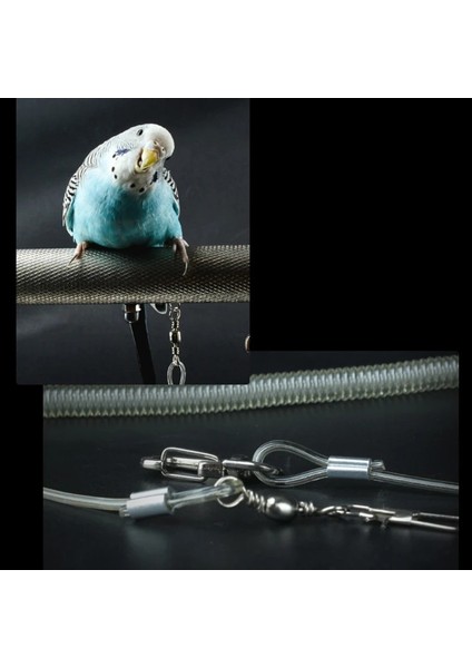 No.3 Tarzı 6 M Papağan Kuş Koşum Tasma Anti-Bite Açık Uçan Eğitim Halat Parakeet Kakadu Papağanı Conure Için Pet Malzemeleri (Yurt Dışından) fırsatları