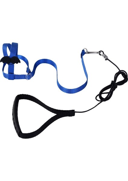 Mavi Stil Xs Beden Anti-Bite Uçan Eğitim Halat Papağan Kuş Pet Tasma Kitleri Muhabbet Kuşu Cennet Papağanı Papağanı Küçük Kuşlar Için Ultralight Koşum Tasma (Yurt Dışından)