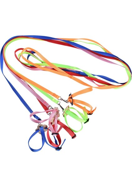 Resim Stili Olarak Ayarlanabilir Pet Papağan Çekiş Kayışı Anti-Bite Eğitim Halatı Açık Halat Hamster Kaplumbağa Kertenkele Pet Tasma Kuş Yaka Koşum (Yurt Dışından) fırsatları