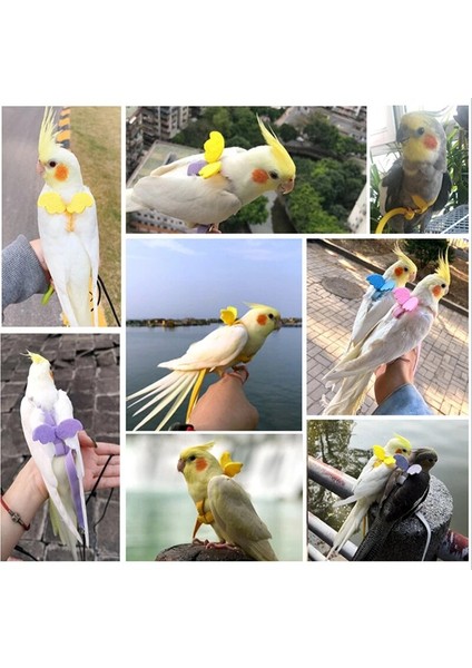 Mavi Stil No.5 Boyutu Pet Kuş Koşum Ayarlanabilir Papağan Koşum Tasma Seti Anti-Bite Açık Eğitim Uçan Halat Muhabbet Kuşu Cennet Papağanı (Yurt Dışından) fırsatları