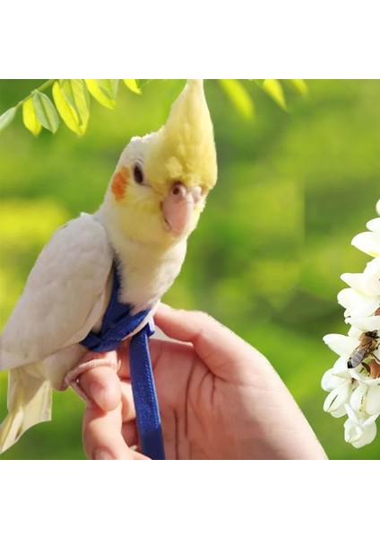 Sarı Stil Xs Beden Ayarlanabilir Papağan Kuş Koşum ve Tasma Kiti Kuş Papağanlar Için Açık Uçan Eğitim Ipi Anti-Bite Ultralight Koşum Tasma (Yurt Dışından) indirimleri