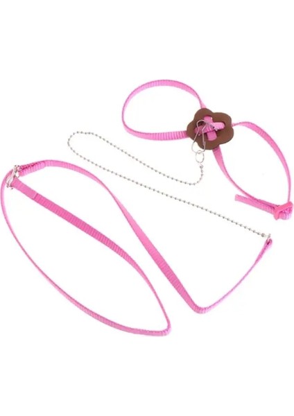 Mor Tarzı Pet Papağan Kuş Koşum Tasma Açık Ayarlanabilir Eğitim Halatı Çekiş Kayışı M68E (Yurt Dışından) modelleri