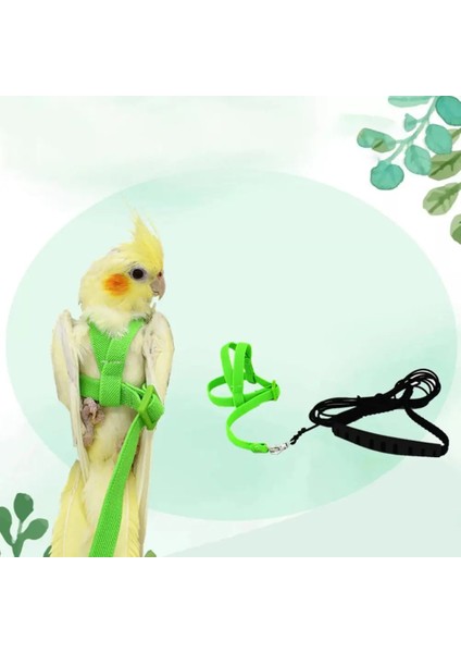 Pembe Tarzı Pet Kuş Koşum Ayarlanabilir Papağan Tasma Koşum Eğitim Halatı Uçan Bant Kuş Halat Açık Eğitim Halat Kemer Yürüyüş Kurşun (Yurt Dışından) indirimleri