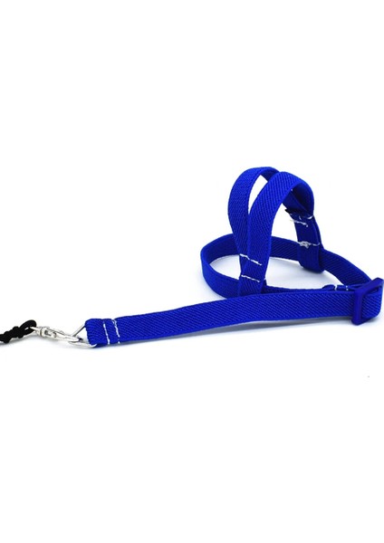 Mavi Stil 2021PET Kuş Koşum Ayarlanabilir Papağan Tasma Koşum Eğitim Halatı Uçan Bant Kuş Halat Açık Eğitim Halat Kemer Yürüyüş Kurşun (Yurt Dışından)