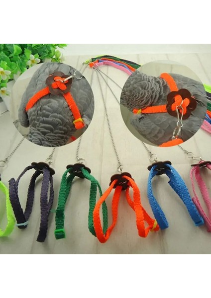 Turuncu Tarzı Pet Papağan Kuş Koşum Tasma Açık Ayarlanabilir Eğitim Halatı Anti Uçan Çekiş Kayışı Taşınabilir Yumuşak Bant (Yurt Dışından) fiyatları