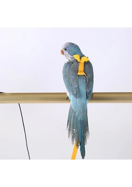 Yl Stili L Beden Papağan Kuş Pet Tasma Kitleri Ultralight Koşum Anti-Bite Uçan Eğitim Halat Muhabbet Kuşu Cennet Papağanı Papağanı Küçük Kuşlar (Yurt Dışından) modelleri