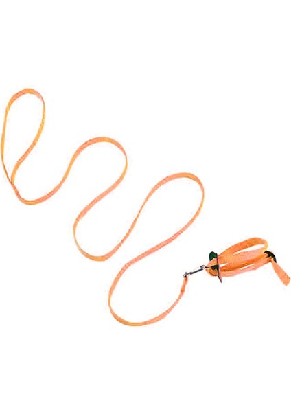 Pembe Tarzı Anti-Bite Uçan Eğitim Halatı Papağan Kuş Pet Tasma Kitleri Yumuşak Taşınabilir Evcil Hayvan Oyuncakları Ultralight Koşum Tasma Sıcak Satış #W2G (Yurt Dışından) modelleri