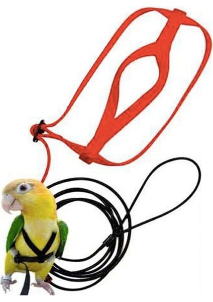 L Gri Tarzı Anti-Bite Uçan Eğitim Halatı Papağan Kuş Koşum Kitleri Ultralight Koşum Tasmalar Yumuşak Taşınabilir Pet Oyuncaklar (Yurt Dışından) fiyatları