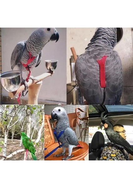Kırmızı Stil Papağan Kuş Tasma Anti-Isırık Uçan Eğitim Ipi Papağan Kuş Evcil Hayvan Tasma Kitleri Ultra Hafif Koşum Tasma Yumuşak Taşınabilir Evcil Hayvan Oyuncakları (Yurt Dışından) fırsatları