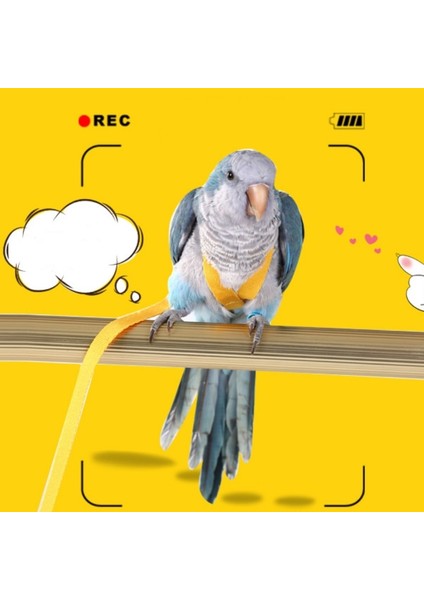 Sarı Stil M Beden Papağan Uçan Eğitim Halatı Anti-Bite Kuş Ayarlanabilir Tasma Kitleri Şakayık Papağan Mynah Için Sevimli Kanatlı Eğitim Malzemeleri (Yurt Dışından) modelleri