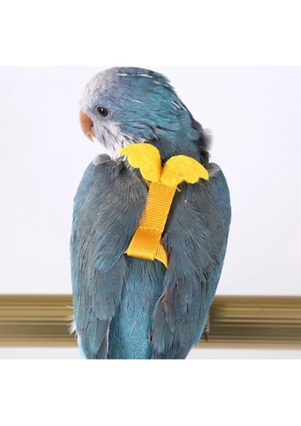 Sarı Stil M Beden Papağan Uçan Eğitim Halatı Anti-Bite Kuş Ayarlanabilir Tasma Kitleri Şakayık Papağan Mynah Için Sevimli Kanatlı Eğitim Malzemeleri (Yurt Dışından) indirimleri