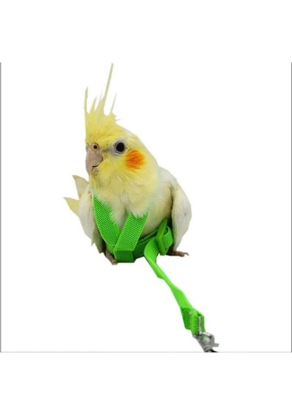 Turuncu Tarzı Alışveriş Merkezi Pet Tasma Açık Ayarlanabilir Eğitim Koşum Çekiş Halatı Bite Pet Kuşlar Için Uçan Bant Papağan Kuş Kertenkele Tasma (Yurt Dışından) fırsatları