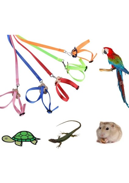 Pembe Tarzı Alışveriş Merkezi Pet Tasma Açık Ayarlanabilir Eğitim Koşum Çekiş Halatı Bite Pet Kuşlar Için Uçan Bant Papağan Kuş Kertenkele Tasma (Yurt Dışından) fiyatları