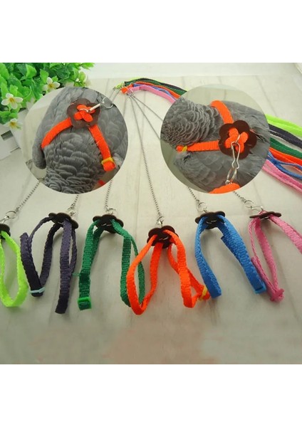 Pembe Tarzı Alışveriş Merkezi Pet Tasma Açık Ayarlanabilir Eğitim Koşum Çekiş Halatı Bite Pet Kuşlar Için Uçan Bant Papağan Kuş Kertenkele Tasma (Yurt Dışından) modelleri