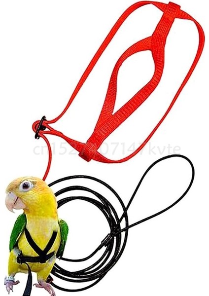 Kızıl Tarzı Xs Beden Papağan Kuş Koşum Tasma Ayarlanabilir Isırma Önleyici Eğitim Halatı Açık Havada Uçan Çekiş Kayışları Bandı (Yurt Dışından) fiyatları