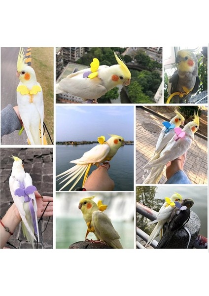 Mor Tarzı No.2 Boyutu Pet Kuş Koşum Ayarlanabilir Papağan Koşum Tasma Seti Anti-Bite Açık Eğitim Uçan Halat Muhabbet Kuşu Cennet Papağanı (Yurt Dışından) fırsatları