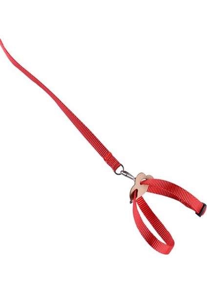 Bir Stil Papağan Kuş Tasma Eğitim Kurşun Halat Ayarlanabilir Koşum Evcil Hayvanlar Anti Uçan Açık Kedi Kaplumbağalar Tavşanlar Gelincikler Tasma (Yurt Dışından) fırsatları