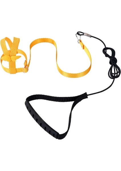 Sarı Stil S Beden Papağan Uçan Eğitim Halatı Anti-Bite Kuş Ayarlanabilir Tasma Kitleri Şakayık Papağan Mynah Için Sevimli Kanatlı Eğitim Malzemeleri (Yurt Dışından)