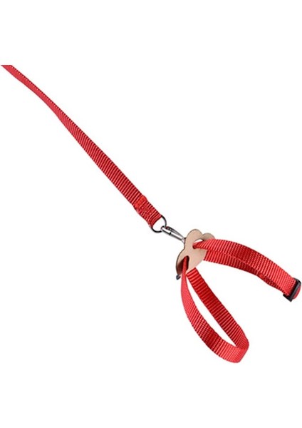 Koyu Haki Stili Ayarlanabilir Pet Papağan Çekiş Kayışı Anti-Bite Eğitim Halatı Açık Halat Hamster Kaplumbağa Kertenkele Pet Tasma Kuş Yaka Koşum (Yurt Dışından)