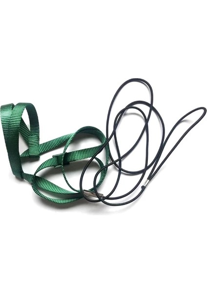 Yunan Tarzı M Beden Anti-Bite Kuş Koşum Tasma Seti Papağan Koşum Naylon Halat Ayarlanabilir Uçan Eğitim Tasarımı Papağan Conures Kuş Için Uygun (Yurt Dışından)