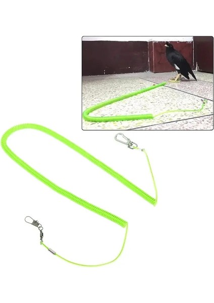 Yeşil Stil 5m Papağan Starling Pet Kuş Tasma Kitleri Anti-Bite Uçan Eğitim Halatı Papağan Streç Uzunluğu Için (Yurt Dışından) modelleri