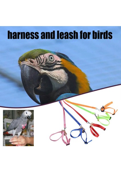 Pembe Tarzı Anti-Bite Uçan Eğitim Halatı Papağan Kuş Pet Tasma Kitleri Yumuşak Taşınabilir Evcil Hayvan Oyuncakları Ultralight Koşum Tasma Sıcak Satış #W2G (Yurt Dışından) fiyatları