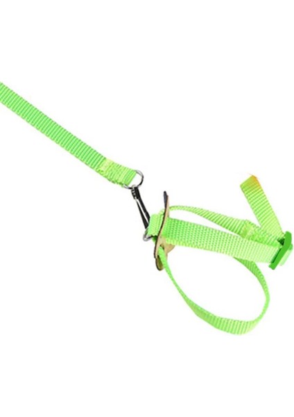 Mavi Stil Pet Papağan Çekiş Kayışı Pet Anti-Bite Eğitim Halatı Açık Halat Pet Tasma Hamster Için Ayarlanabilir Kuş Koşum, Kertenkele (Yurt Dışından) fırsatları