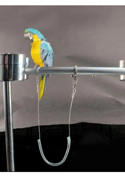 No.6 Tarzı 3m Ultra-Hafif Papağan Kuş Koşum Tasma Anti-Bite Açık Uçan Eğitim Halat Pet Malzemeleri Amerika Papağanı Papağanı Papağanı Lovebird #bütün (Yurt Dışından) fırsatları