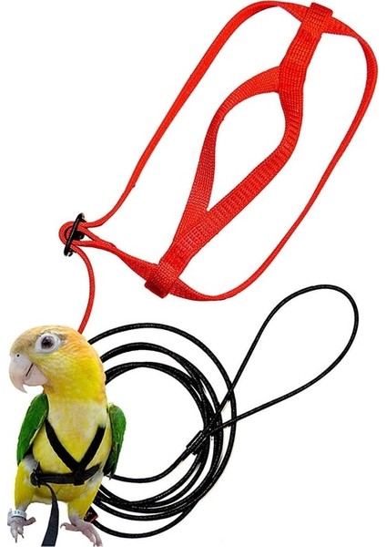 Xs Beden Pet Kuş Koşum ve Tasma, Ayarlanabilir Papağan Kuş Koşum Tasma - Pet Anti-Bite Eğitim Ipi Açık Uçan Koşum ve Tasma (Yurt Dışından) fiyatları
