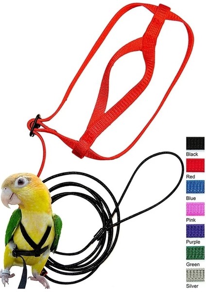 Xs Beden Pet Kuş Koşum ve Tasma, Ayarlanabilir Papağan Kuş Koşum Tasma - Pet Anti-Bite Eğitim Ipi Açık Uçan Koşum ve Tasma (Yurt Dışından) modelleri