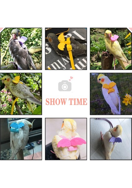 Mor Tarzı No.4 Boyutu Pet Kuş Koşum Ayarlanabilir Papağan Koşum Tasma Seti Anti-Bite Açık Eğitim Uçan Halat Muhabbet Kuşu Cennet Papağanı (Yurt Dışından) indirimleri