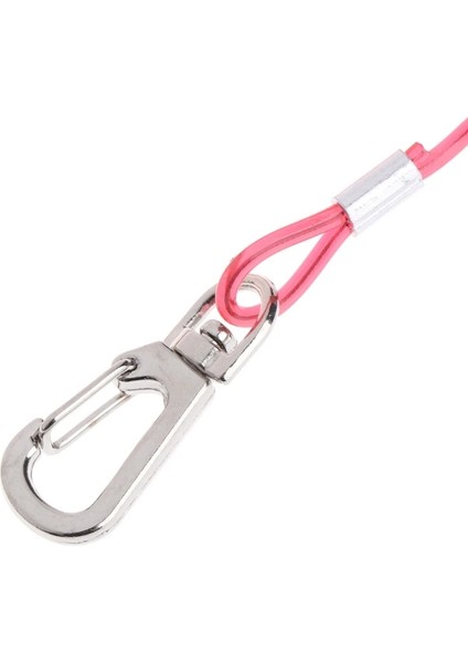 Şeffaf Stil 10M Papağan Halat Pet Uçan Tasma Tpu Anti Bite Kuş Açık Starling Eğitim Uçuşu (Yurt Dışından) indirimleri