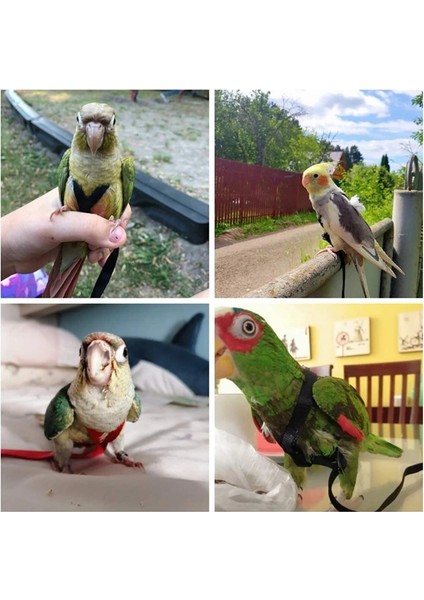 Mavi Stil S Beden Papağan Kuş Koşum Tasma Ayarlanabilir Isırma Önleyici Eğitim Halatı Açık Havada Uçan Çekiş Kayışları Bandı (Yurt Dışından) fırsatları