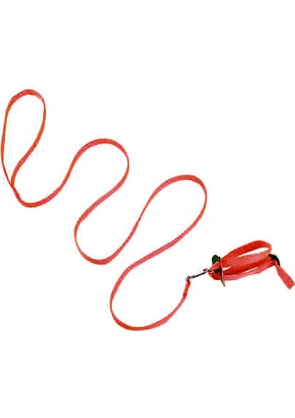 Kırmızı Stil Anti-Bite Uçan Eğitim Halatı Papağan Kuş Pet Tasma Kitleri Yumuşak Taşınabilir Evcil Hayvan Oyuncakları Ultralight Koşum Tasma Sıcak Satış #W2G (Yurt Dışından)