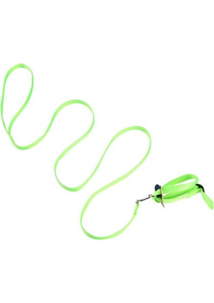 Kırmızı Stil Anti-Bite Uçan Eğitim Halatı Papağan Kuş Pet Tasma Kitleri Yumuşak Taşınabilir Evcil Hayvan Oyuncakları Ultralight Koşum Tasma Sıcak Satış #W2G (Yurt Dışından) fırsatları