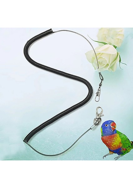 Rastgele Renk Stili 6 Milyon 2m-6m Kuş Uçan Halat Papağan Papağanları Starling Kuş Pet Tasma Kitleri Anti-Bite Açık Uçan Eğitim Halat Kuş Sinek Hattı (Yurt Dışından) indirimleri