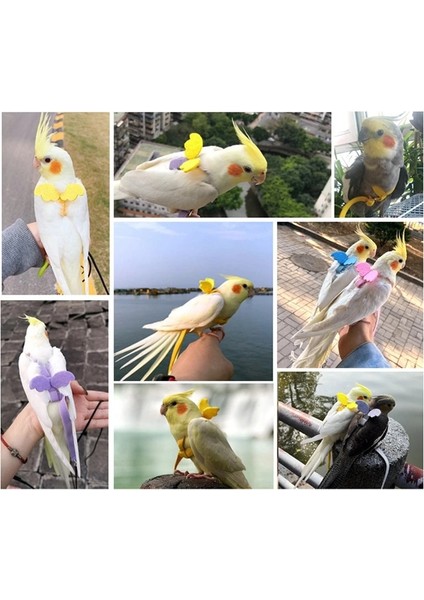 Mavi Tip 4 Stili 4 Renk Kuş Uçan Eğitim Halatı Anti-Bite Papağan Pet Tasma Kitleri Ultralight Koşum Tasma Yumuşak Taşınabilir Pet Oyuncaklar (Yurt Dışından) fırsatları